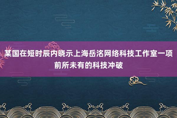某国在短时辰内晓示上海岳洺网络科技工作室一项前所未有的科技冲破