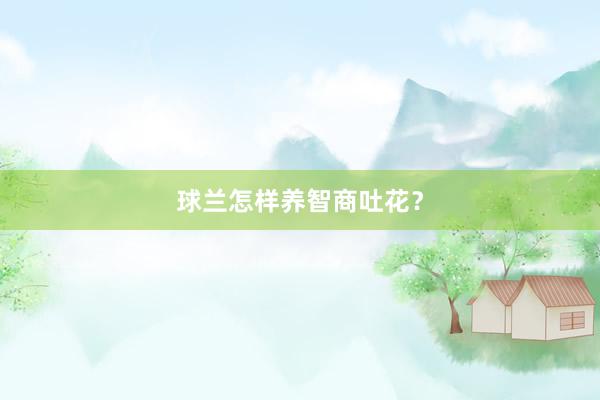 球兰怎样养智商吐花？